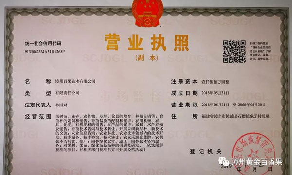 漳州百果苗木有限公司營業(yè)執(zhí)照